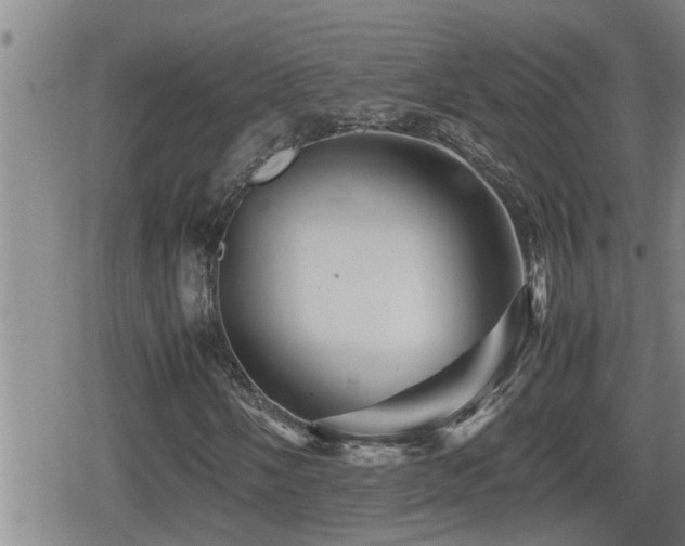 X0000080801058200612151458