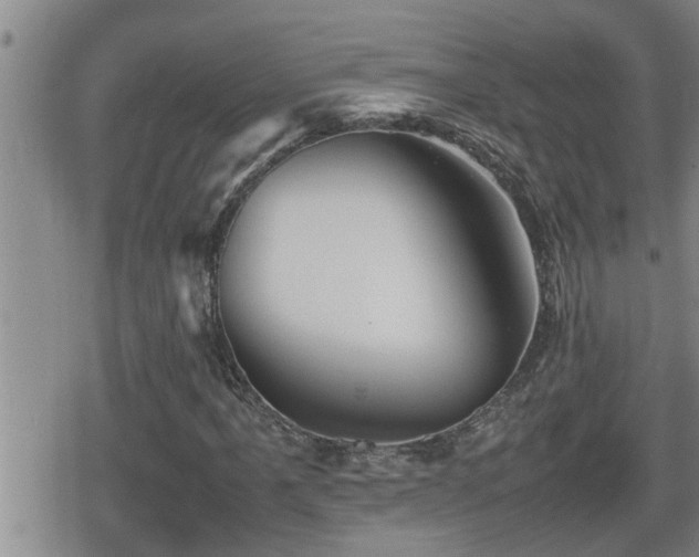 X0000080801061200612151458