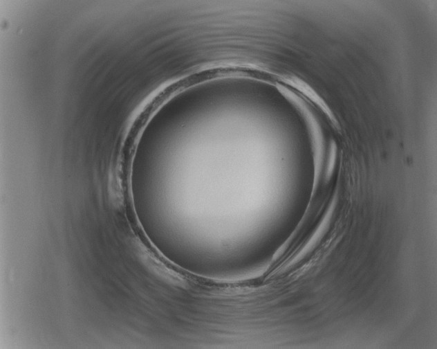 X0000080801068200612151457