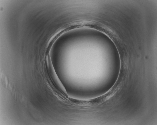 X0000080801073200612151457