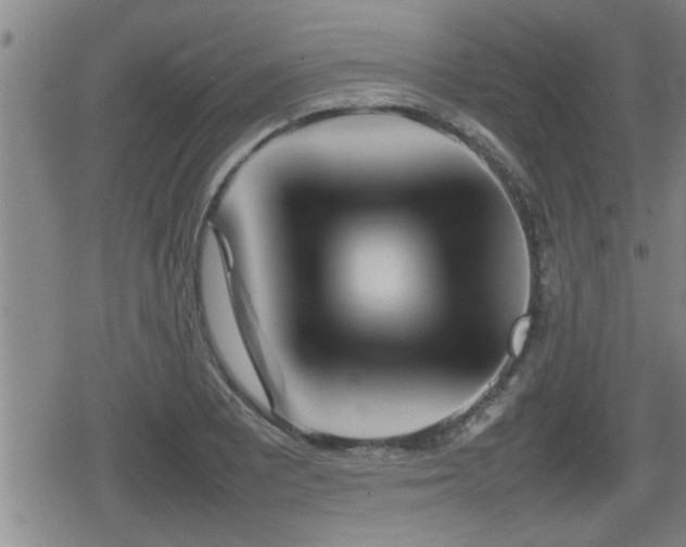 X0000080801081200612151457