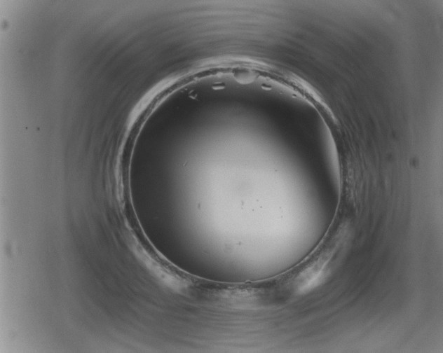 X0000080801082200612151457