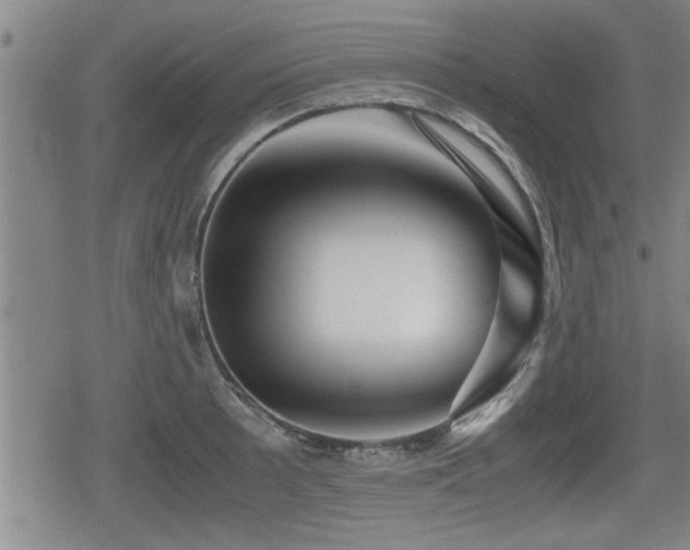 X0000080801089200612151457