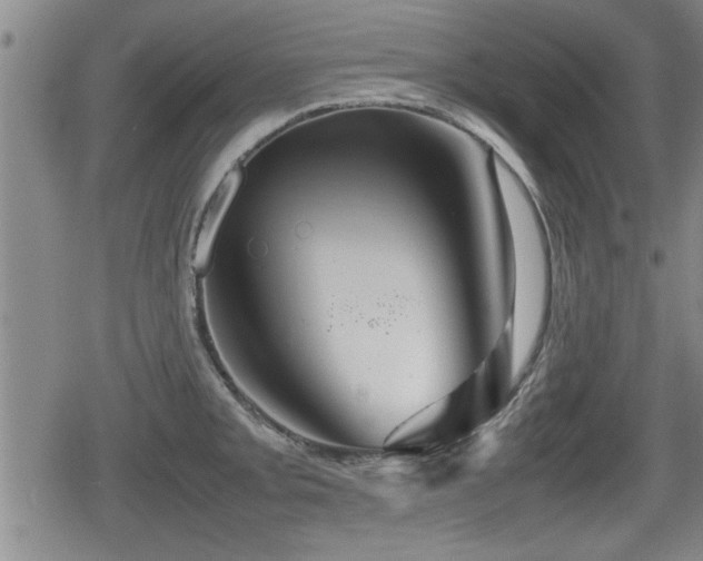 X0000080801093200612151457