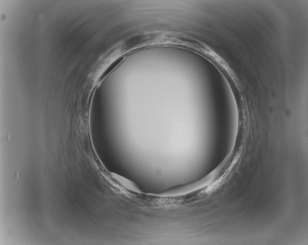X0000080801097200612151457
