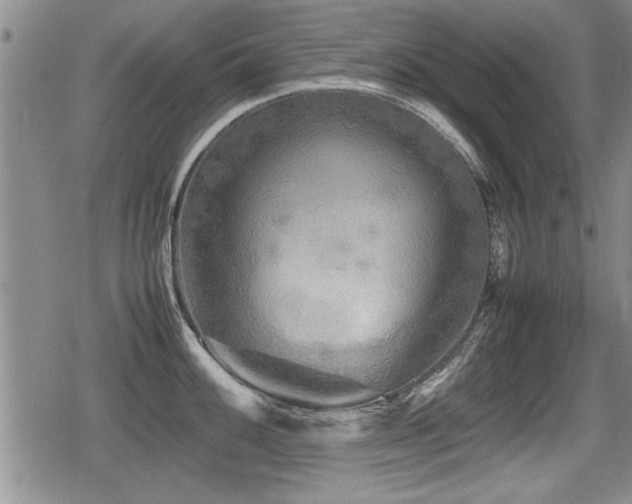 X0000080801100200612151457