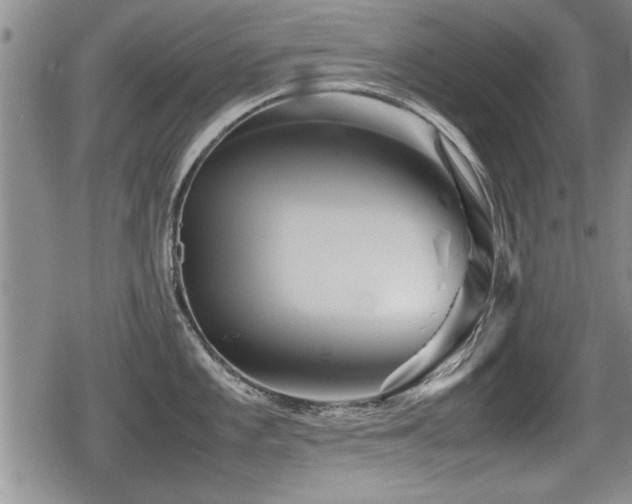 X0000080801101200612151457