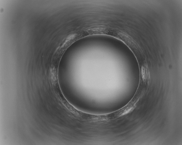 X0000080801107200612151456