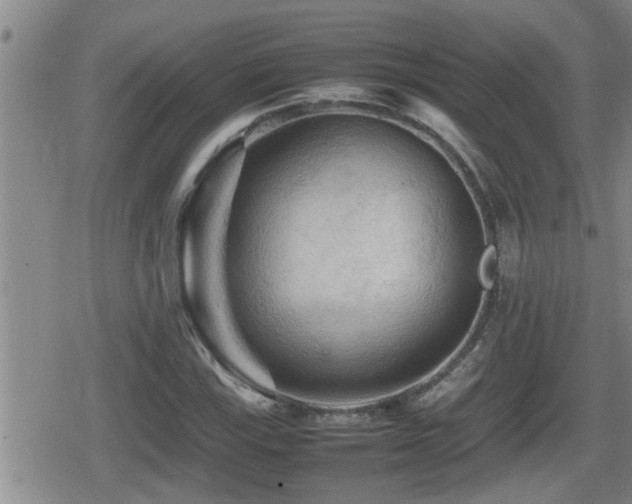 X0000080801115200612151456