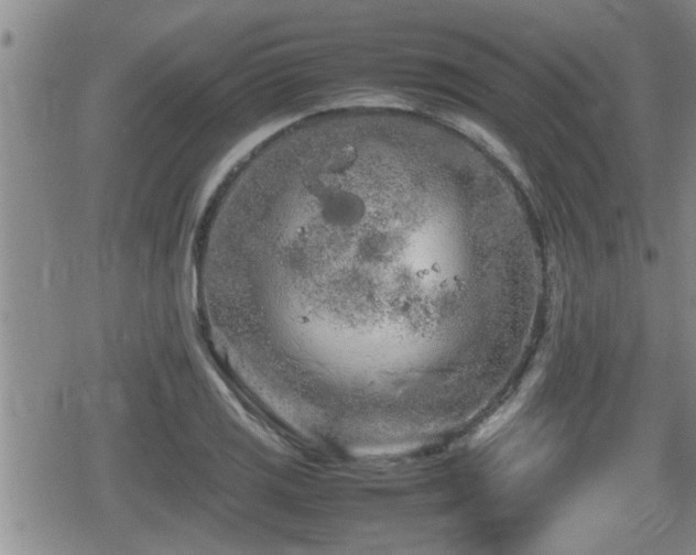 X0000080801125200612151456