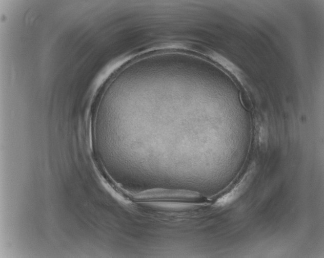 X0000080801127200612151456