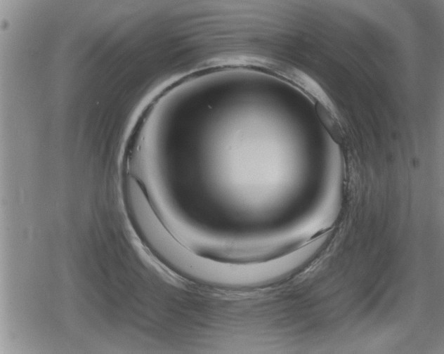 X0000080801132200612151456