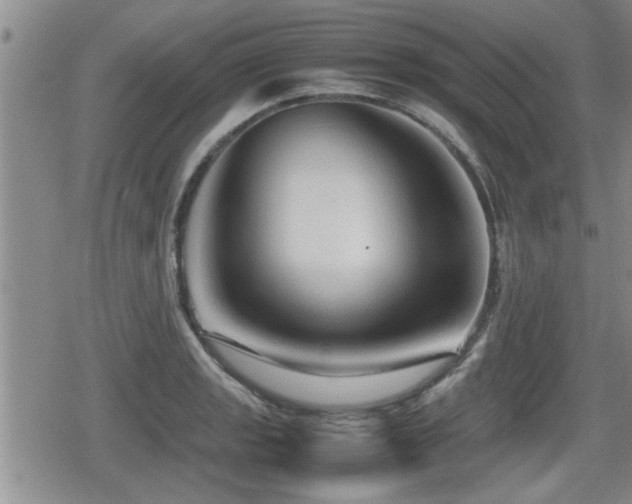 X0000080801133200612151456