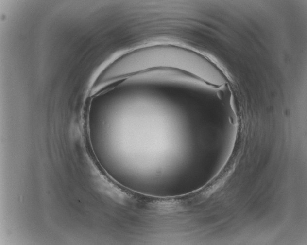 X0000080801134200612151457