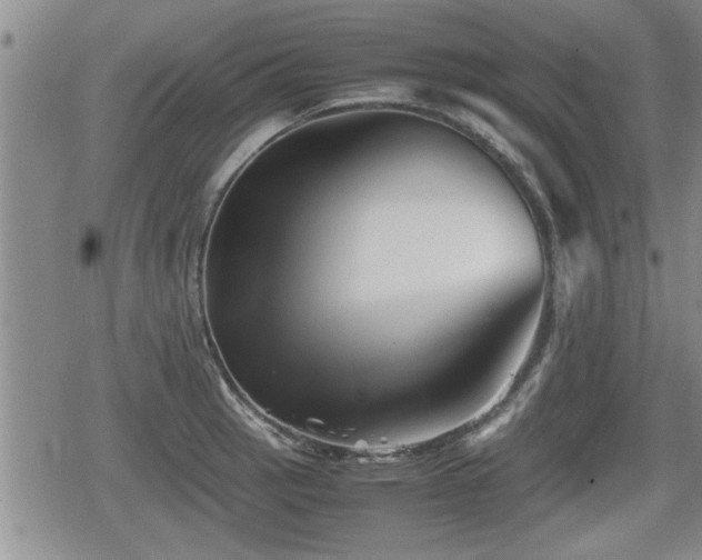 X0000080801137200612151457
