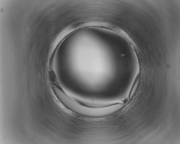 X0000080801140200612151457