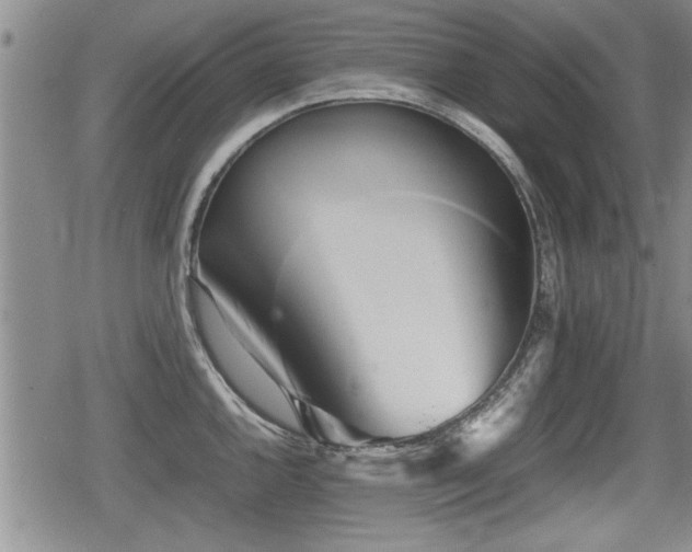 X0000080801144200612151457