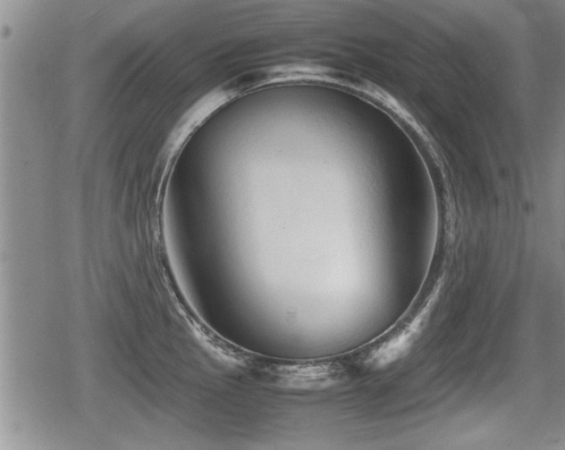 X0000080801145200612151457