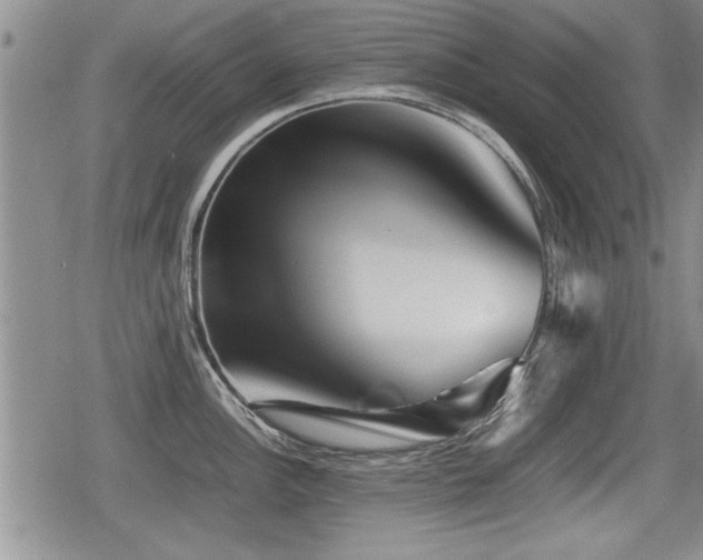 X0000080801148200612151457