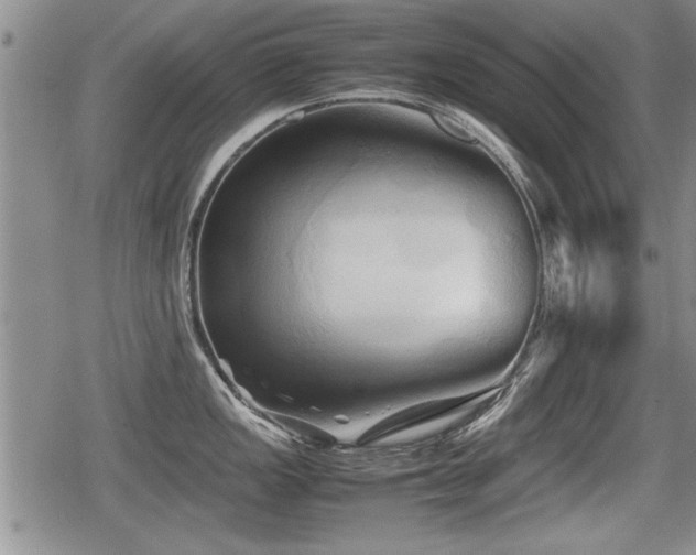 X0000080801149200612151457