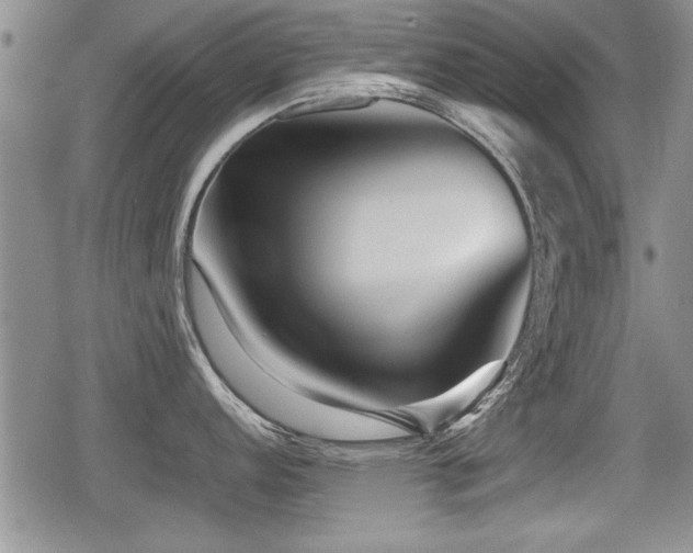 X0000080801152200612151457