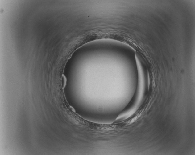 X0000080801153200612151456
