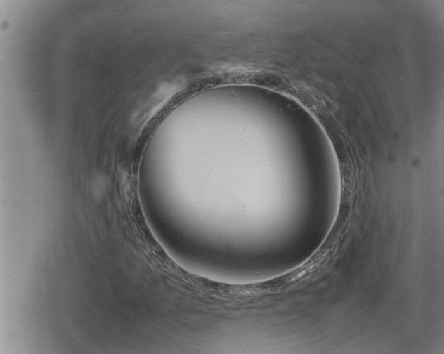 X0000080801157200612151456