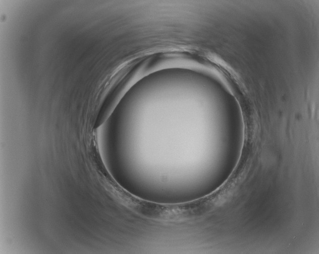 X0000080801169200612151456