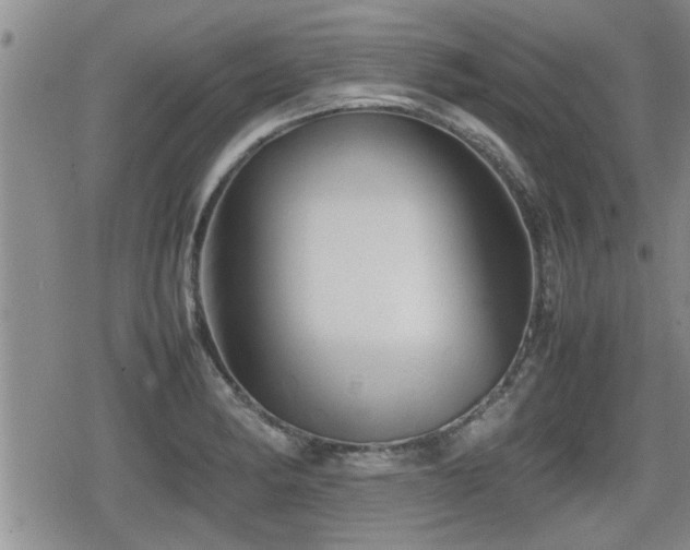 X0000080801182200612151456