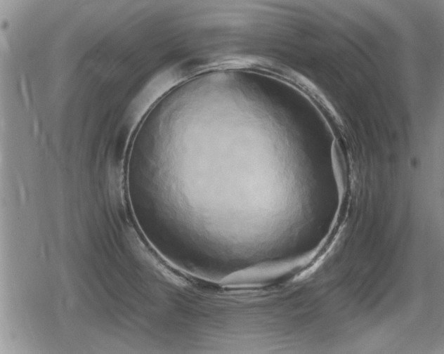 X0000080801186200612151455