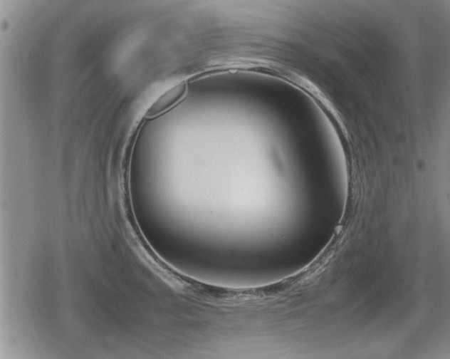 X0000080801187200612151455