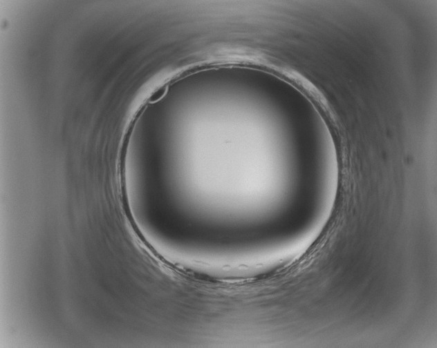 X0000080801191200612151455