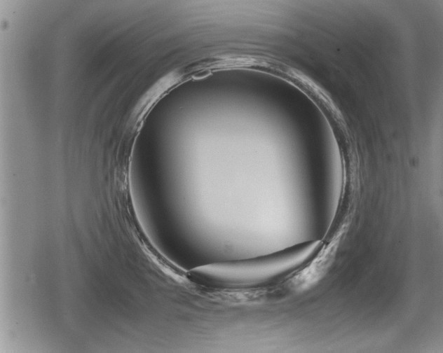 X0000080801193200612151455