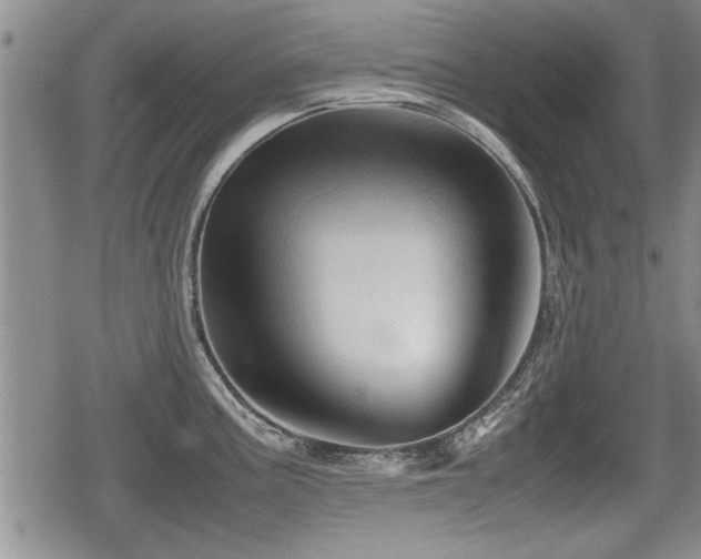 X0000080801195200612151455