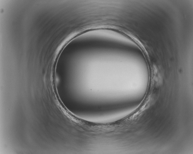 X0000080801197200612151455