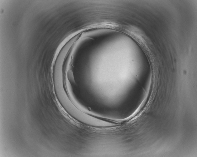 X0000080801200200612151455