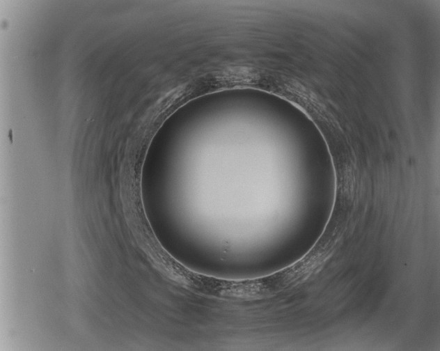 X0000080801201200612151454