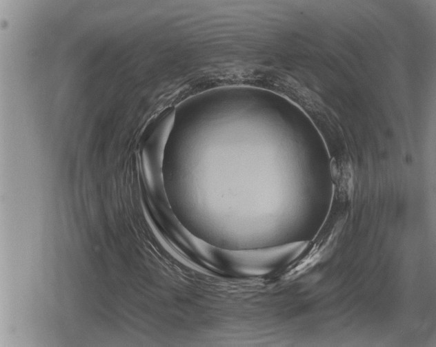 X0000080801202200612151454