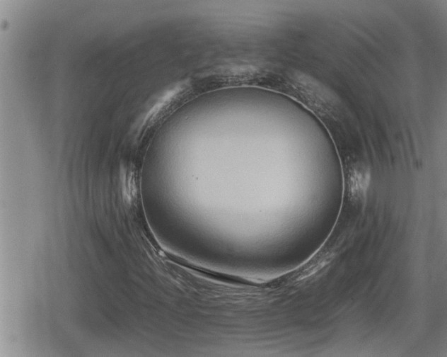 X0000080801204200612151455