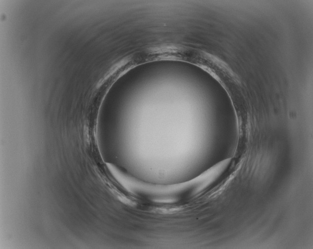 X0000080801209200612151455