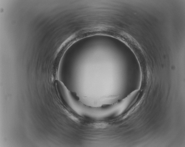X0000080801210200612151455
