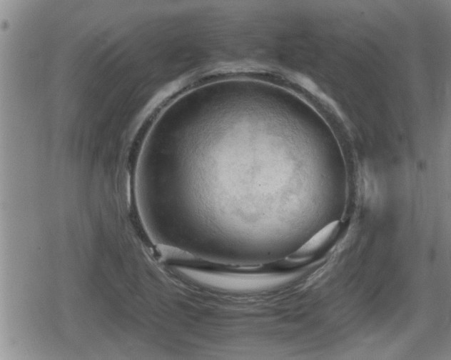 X0000080801221200612151455