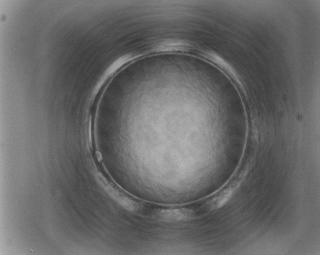 X0000080801227200612151455