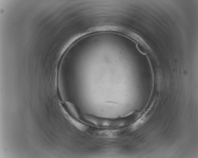 X0000080801228200612151455