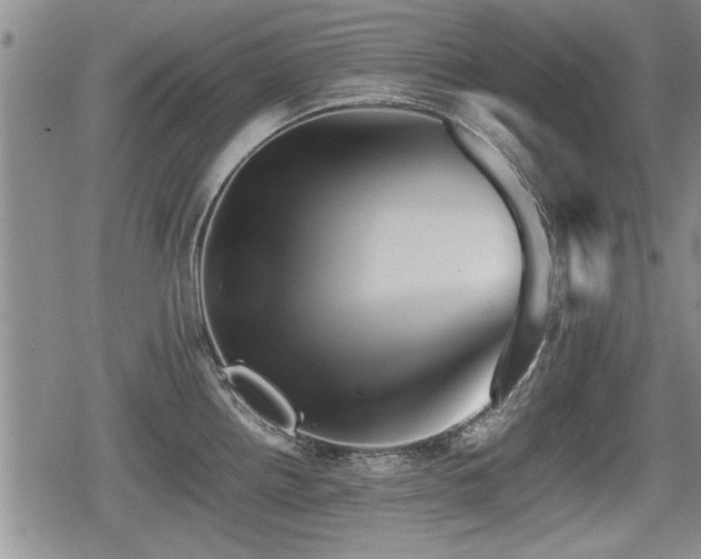 X0000080801242200612151455