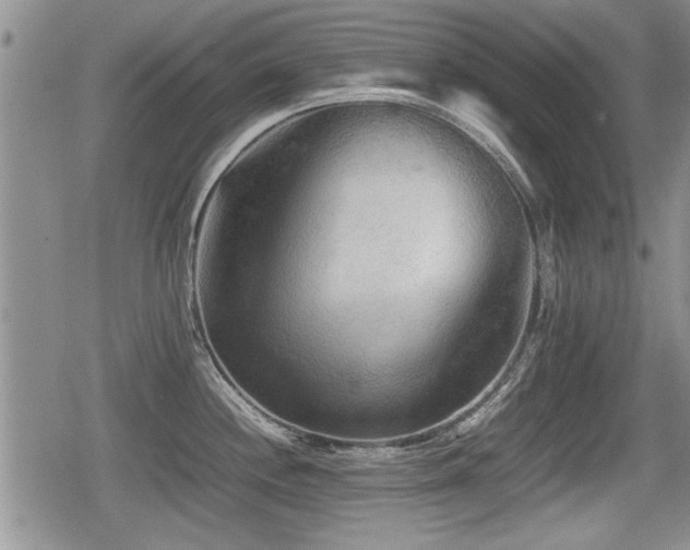X0000080801244200612151455