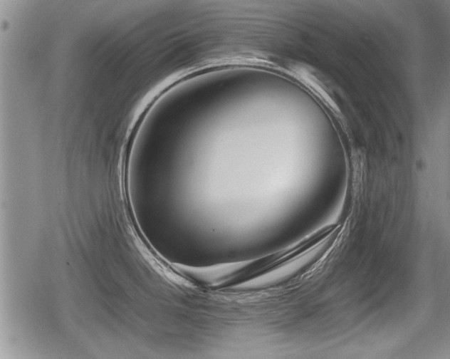 X0000080801246200612151455
