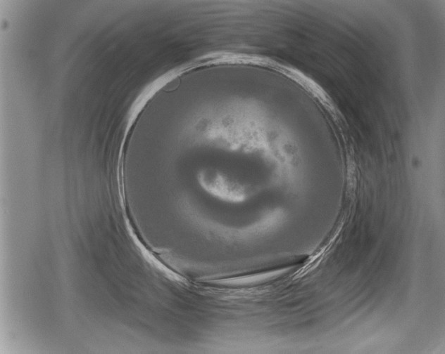 X0000080801247200612151455
