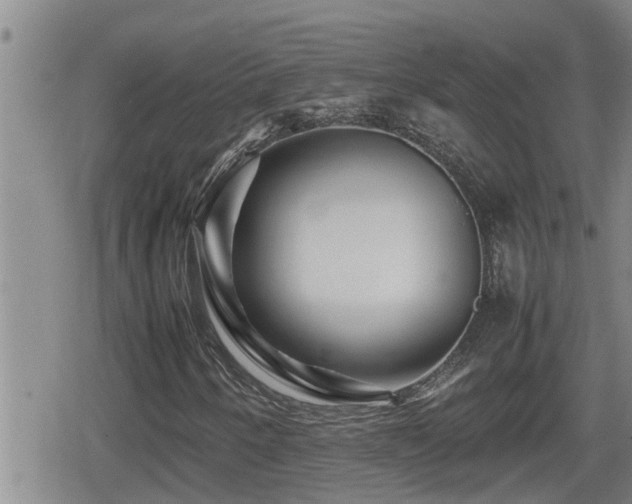 X0000080801250200612151454