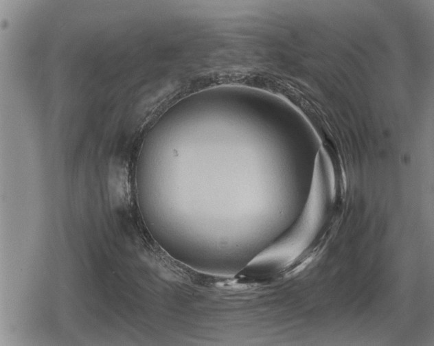 X0000080801252200612151454